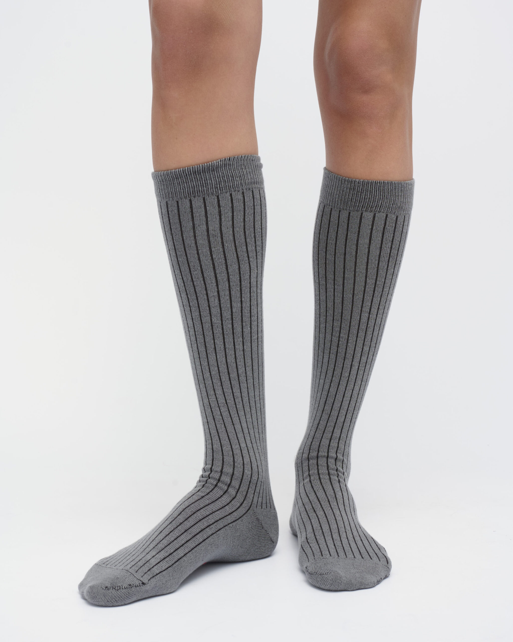 SOCKS No.6 dark gray (4)