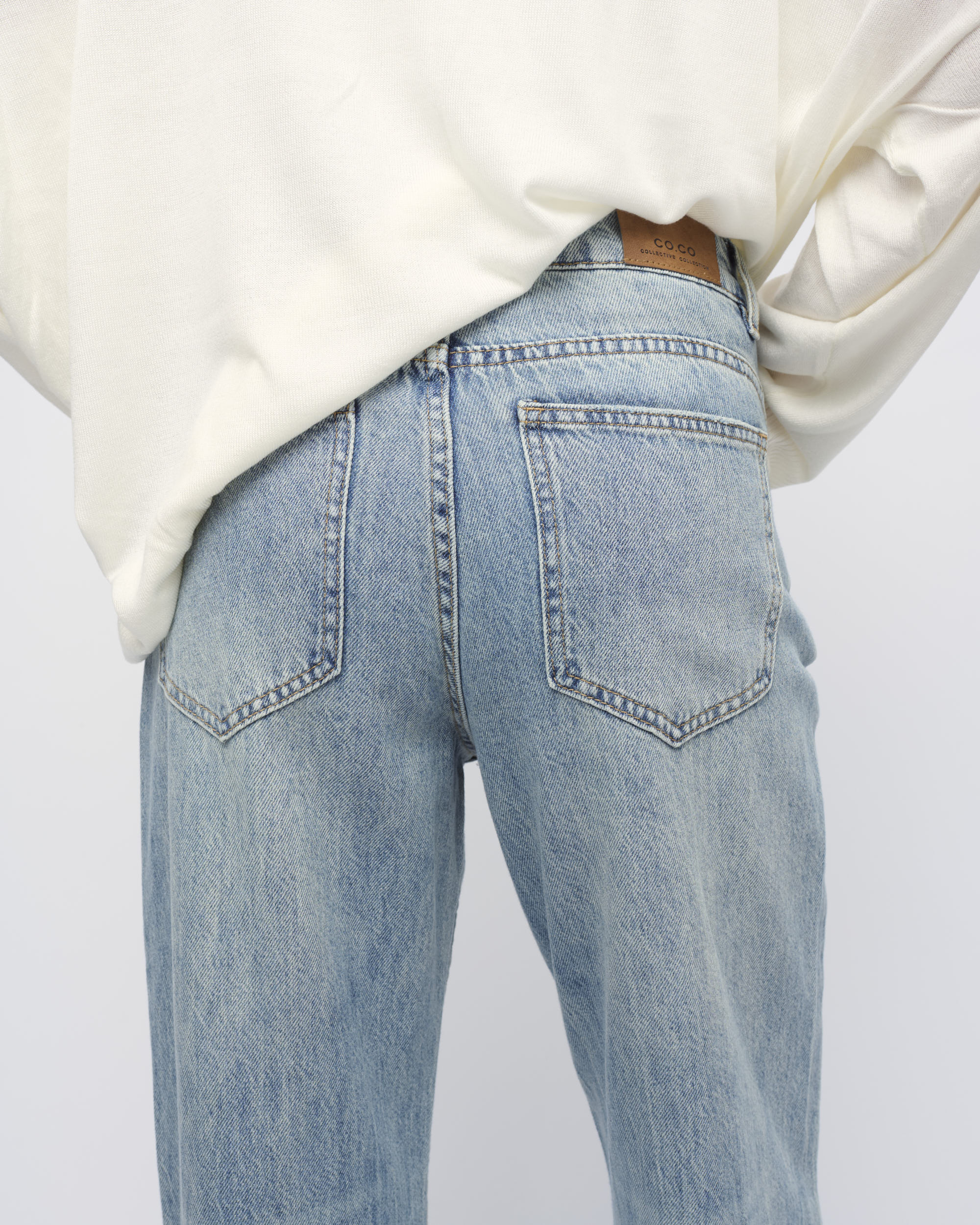 BENJI26-2263572-25-CO.CO 161-307757